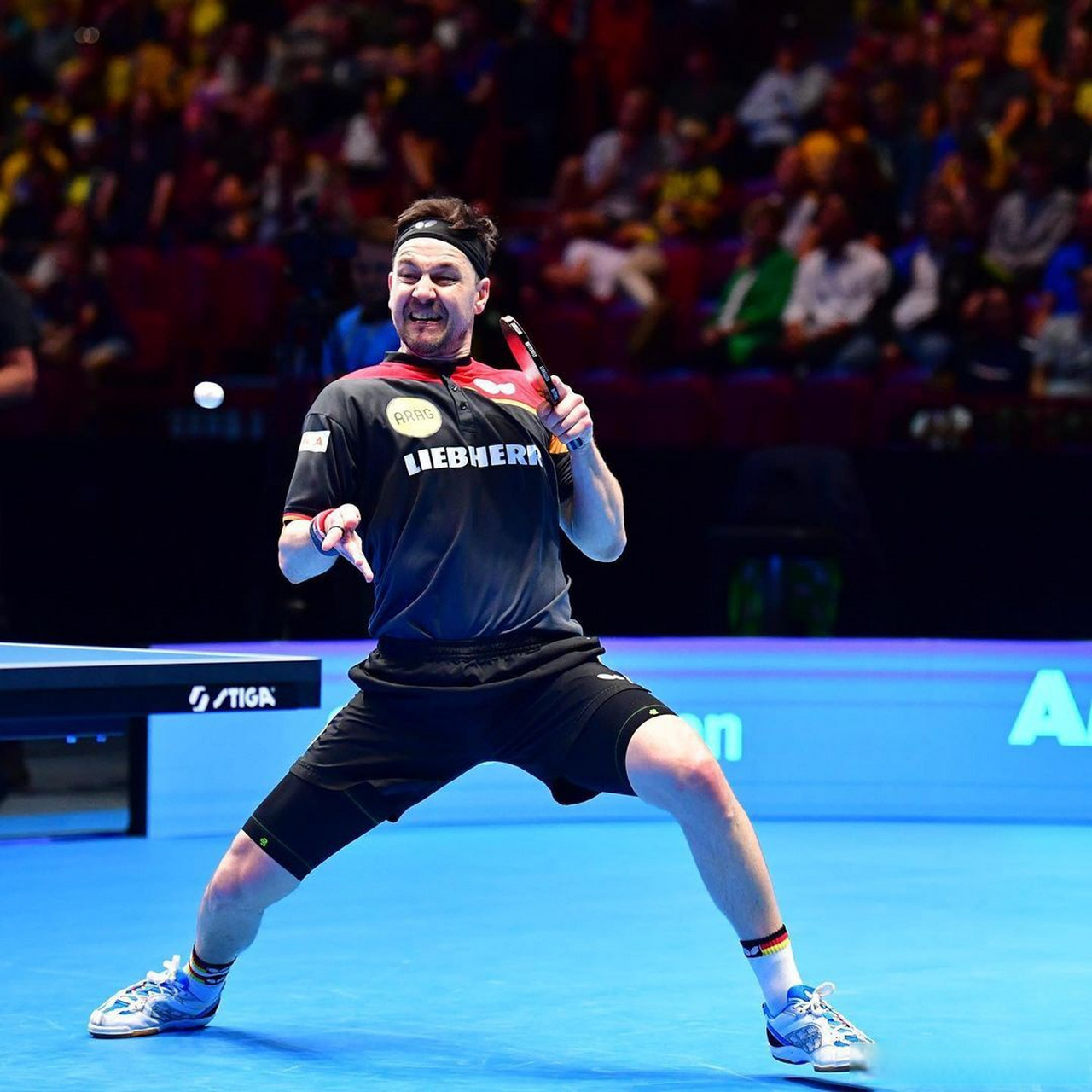 日本乒乓球队鏖战比利时乒乓球队,波尔惊艳世界的简单介绍 日本乒乓球队鏖战比利时乒乓球队,波尔惊艳世界的简单介绍