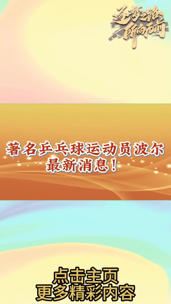 中国乒乓球队横扫日本乒乓球队，波尔统治全场的简单介绍