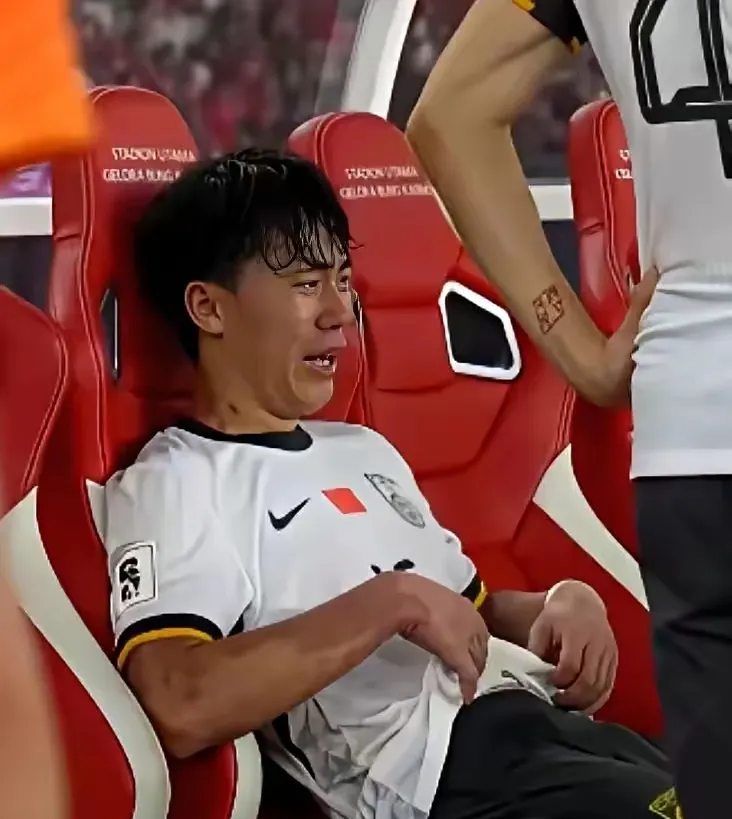 德国队完胜印度队，桃田贤斗状态火热的简单介绍