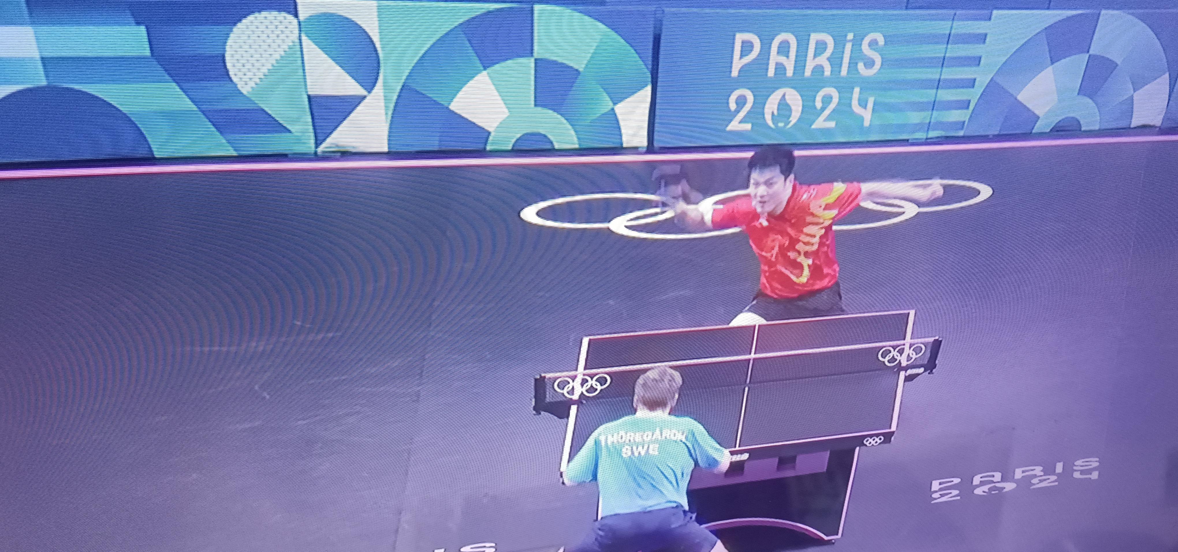 法国乒乓球队鏖战英国乒乓球队，樊振东完成帽子戏法的简单介绍