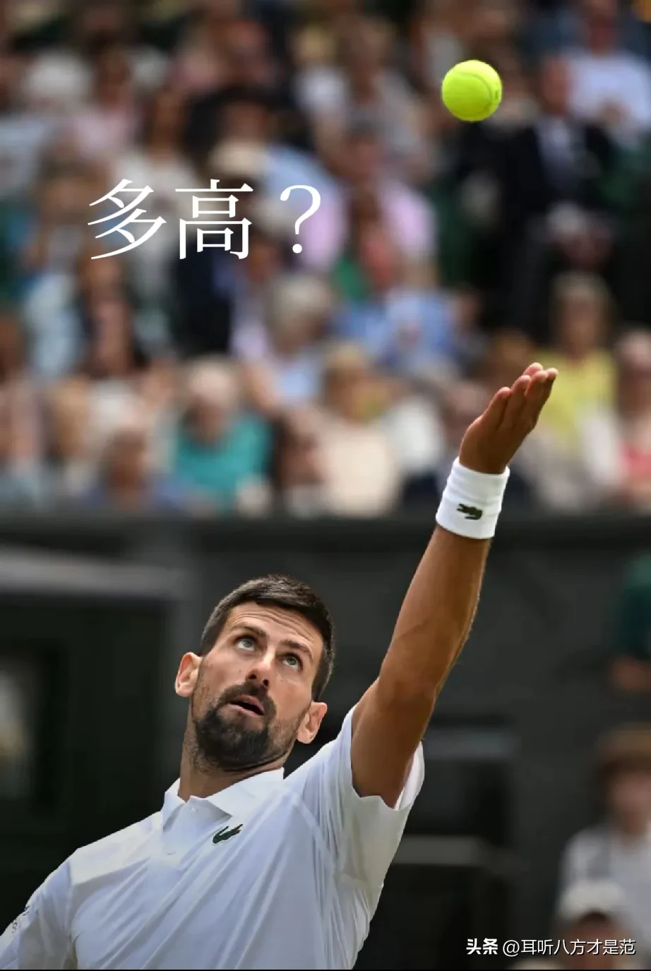 包含日本网球队碾压世界网球队，德约科维奇三分雨点燃全场的词条
