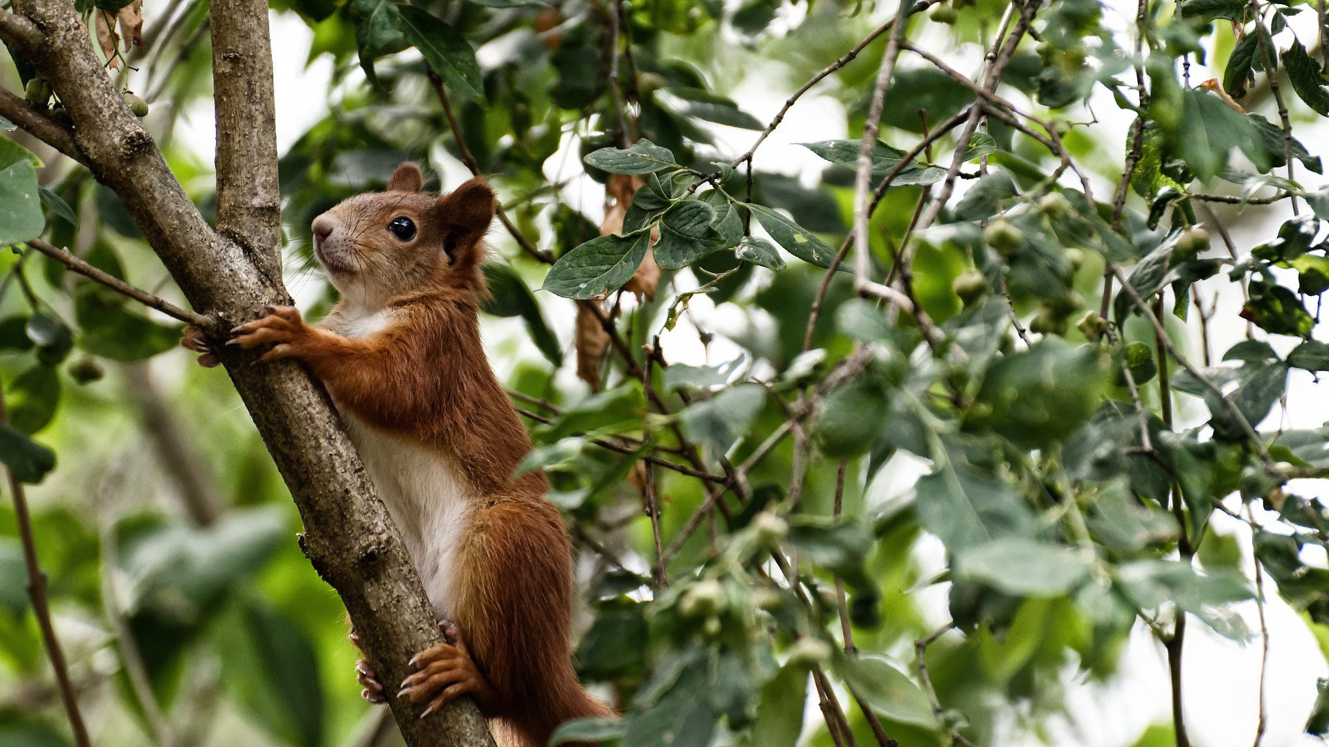 PG电子试玩官网-巴黎关键战，奥运周期焦点对决，东道主正面击溃卡塔尔