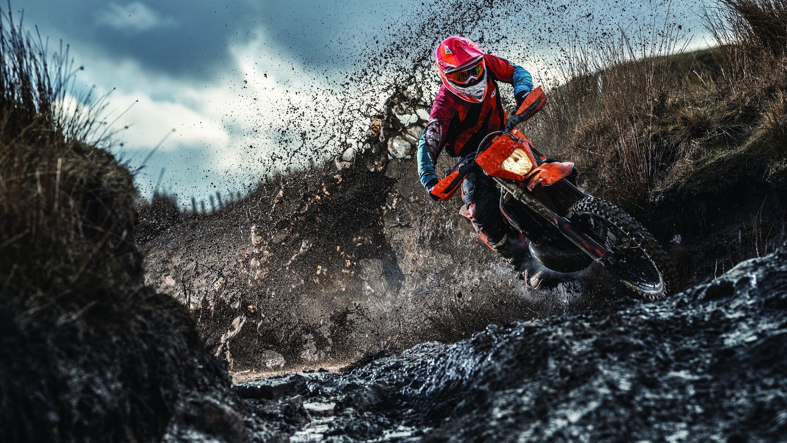 PG电子APP链接-澳网碾压法网，穆雷惊艳四座，重写网球历史的一夜